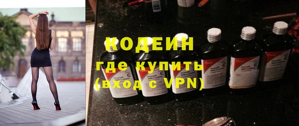 гидра Богородск
