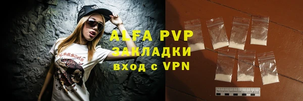 гидра Богородск
