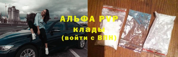 гидра Богородск