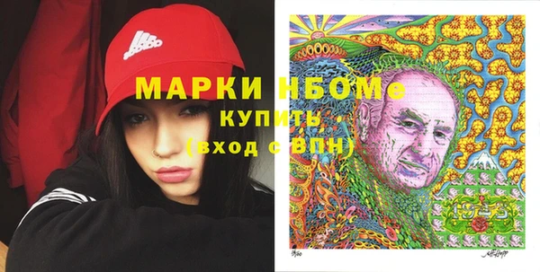гидра Богородск