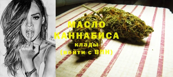 гидра Богородск