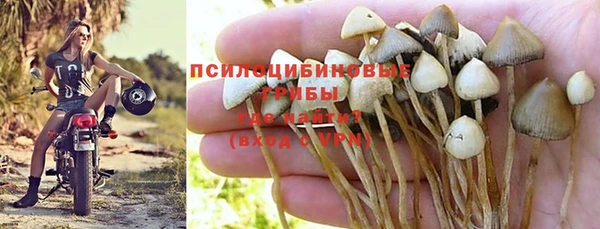 каннабис Богданович