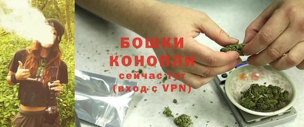 каннабис Богданович
