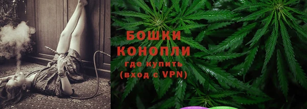 гидра Богородск