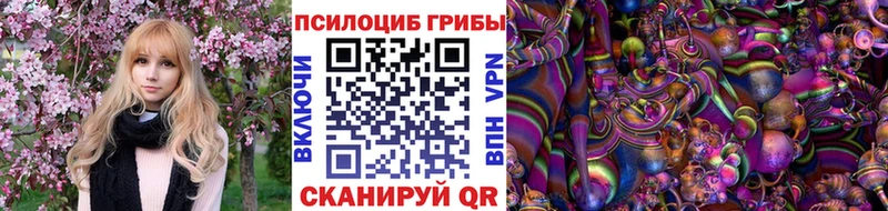 Галлюциногенные грибы Psilocybine cubensis  Тольятти 